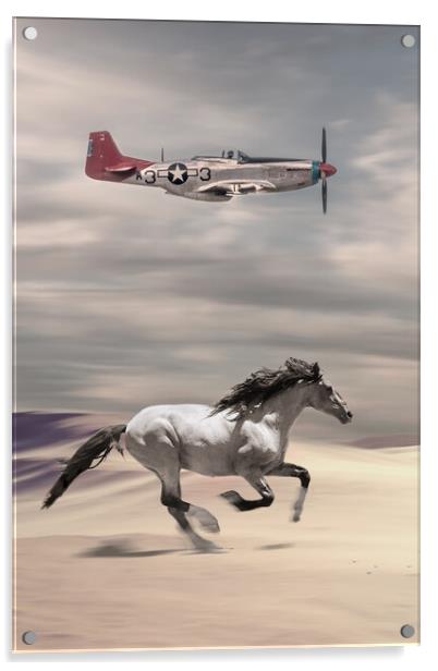 Mustangs Tall In The Saddle Acrylic by J Biggadike