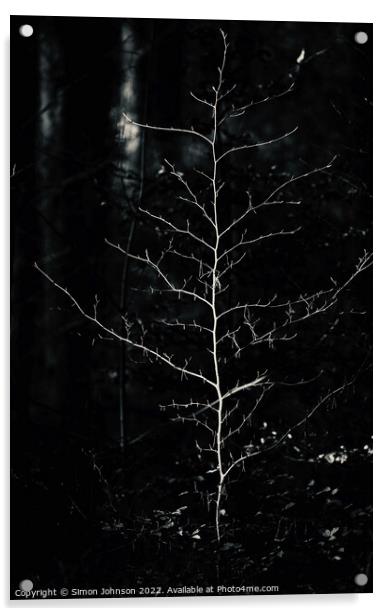 sunlit tree in monochrome  Acrylic by Simon Johnson