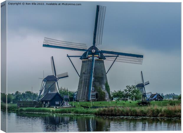 Ancient Blades of the Netherlands Canvas Print by Ron Ella