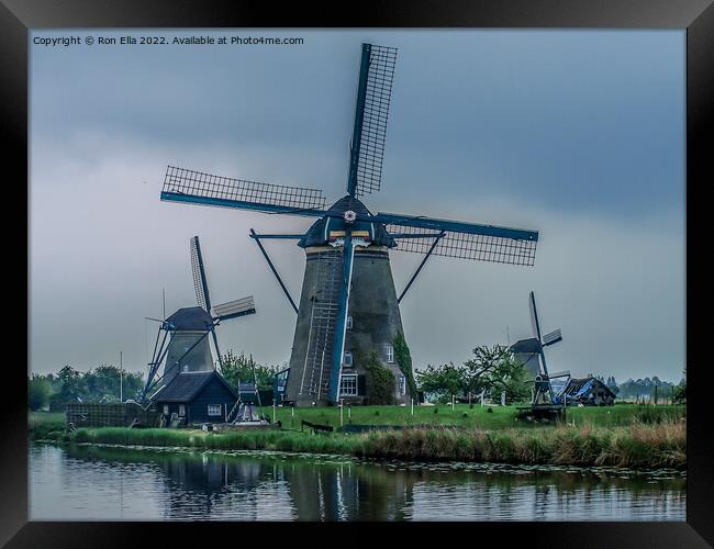 Ancient Blades of the Netherlands Framed Print by Ron Ella