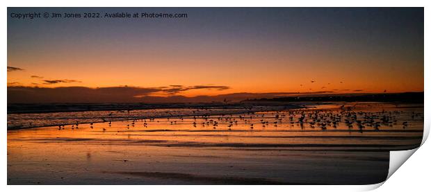 Silhouetted Seagulls on the Sand before Sunrise Print by Jim Jones