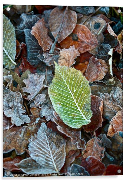 Frosted leaves Acrylic by Simon Johnson