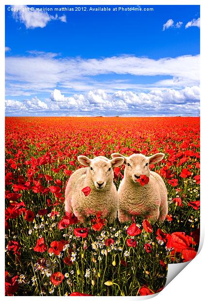 twins in the poppies Print by meirion matthias