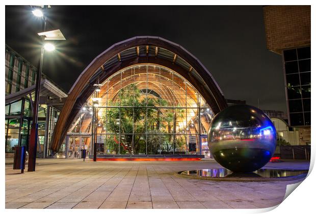 Sheffield Winter Gardens Print by Apollo Aerial Photography