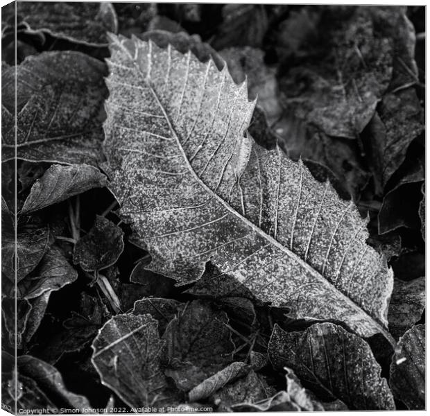 Frosted leaf  monochrome  Canvas Print by Simon Johnson