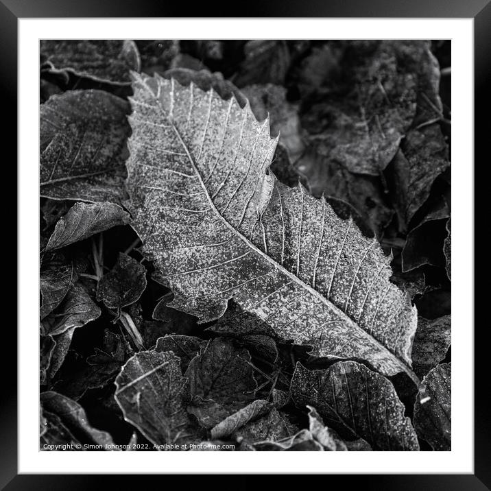 Frosted leaf  monochrome  Framed Mounted Print by Simon Johnson