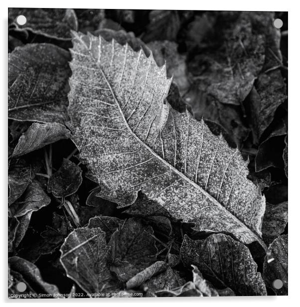 Frosted leaf  monochrome  Acrylic by Simon Johnson