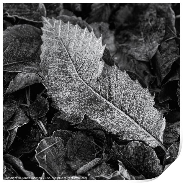 Frosted leaf  monochrome  Print by Simon Johnson