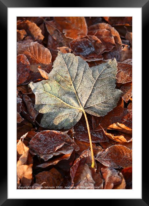 Frosted leaf Framed Mounted Print by Simon Johnson