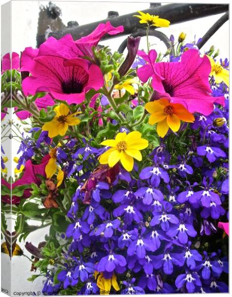 Colourful flower basket Canvas Print by Stephanie Moore