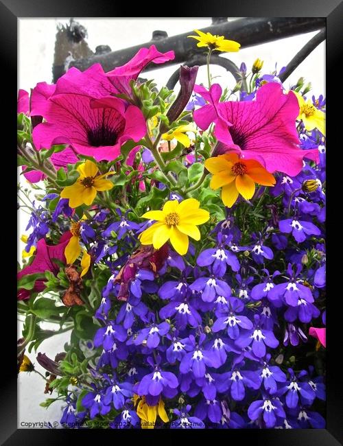 Colourful flower basket Framed Print by Stephanie Moore