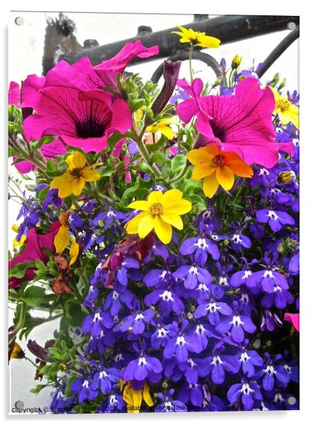 Colourful flower basket Acrylic by Stephanie Moore