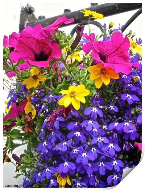Colourful flower basket Print by Stephanie Moore