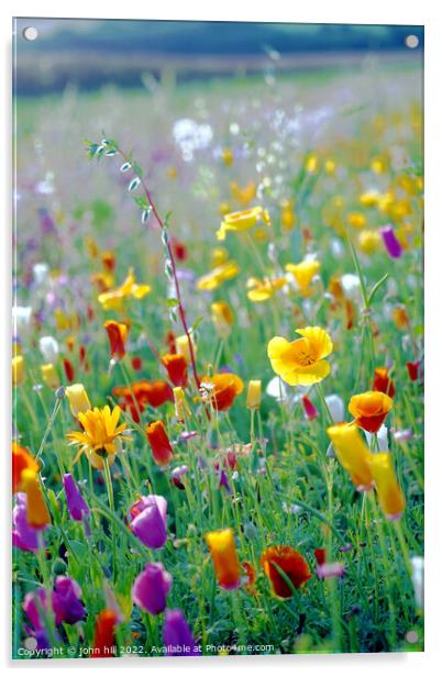 Wild flower field, Derbyshire Acrylic by john hill