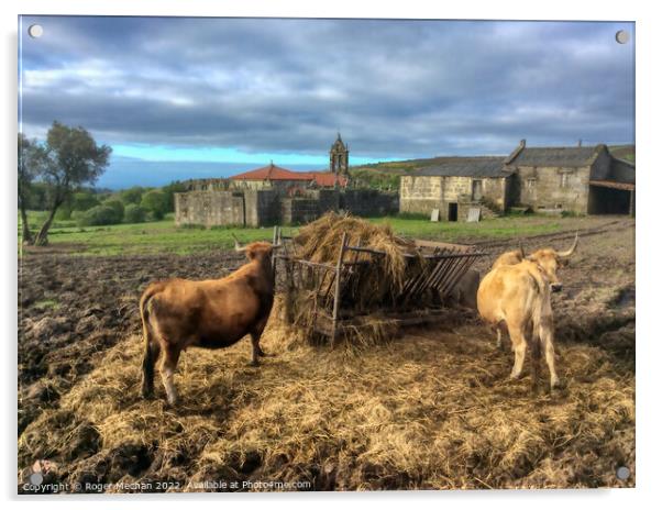 Rustic Charm Acrylic by Roger Mechan