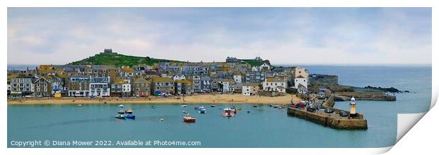 St Ives quay Panoramic Print by Diana Mower