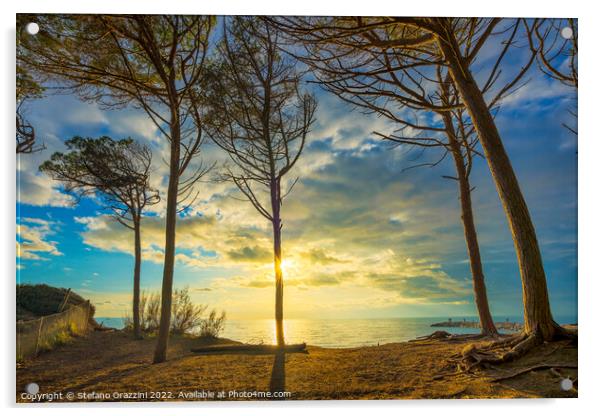 Pine trees, beach and sea. Marina di Cecina, Italy Acrylic by Stefano Orazzini