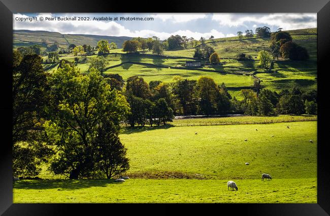 English Countryside Swaledale Yorkshire Dales Framed Print by Pearl Bucknall