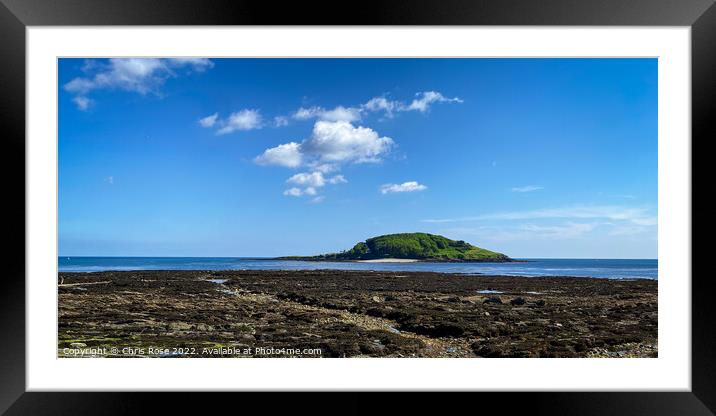 Looe Island , Cornwall Framed Mounted Print by Chris Rose
