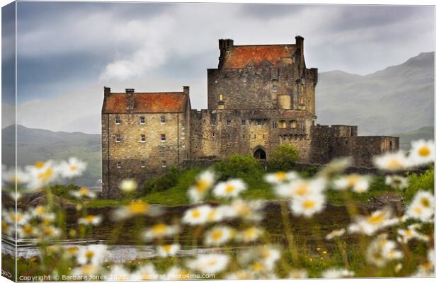 Eilean Donan Castle and  Summer Flowers, Scotland. Canvas Print by Barbara Jones