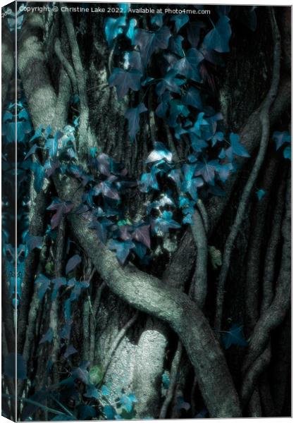 Winter Blue Canvas Print by Christine Lake