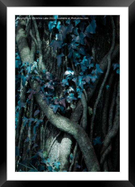 Winter Blue Framed Mounted Print by Christine Lake