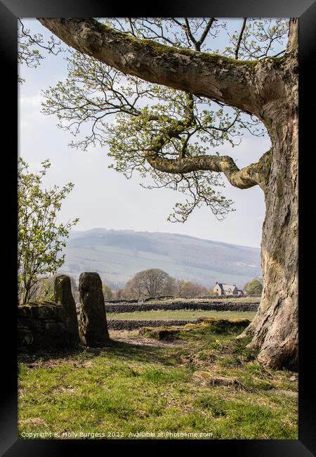 Gritstone Vista: Derbyshire's Curbar Edge Framed Print by Holly Burgess