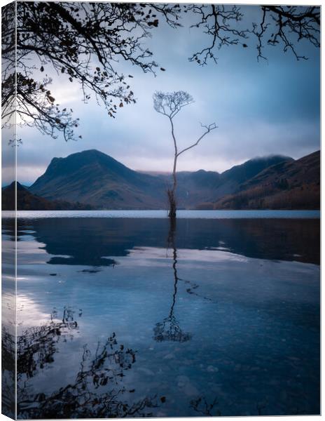 Buttermere Lake with the Lone Tree Canvas Print by Alan Wise