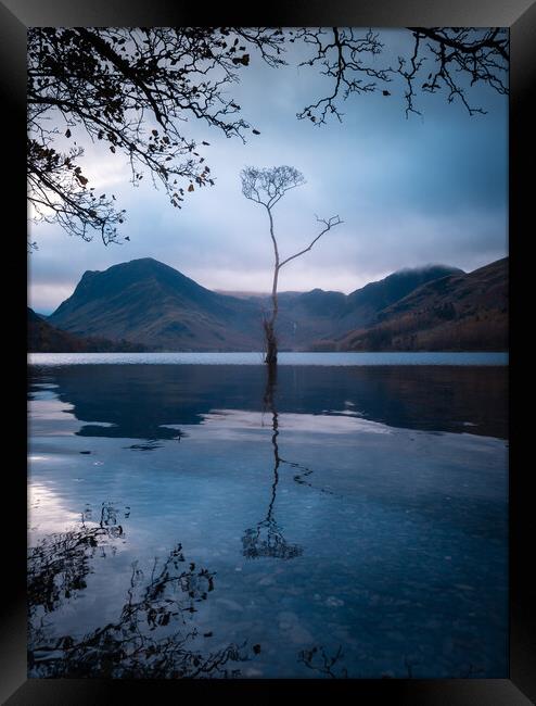 Buttermere Lake with the Lone Tree Framed Print by Alan Wise