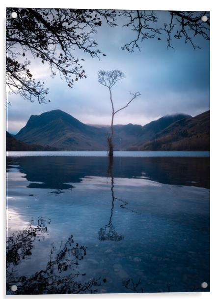 Buttermere Lake with the Lone Tree Acrylic by Alan Wise
