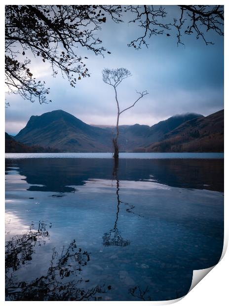 Buttermere Lake with the Lone Tree Print by Alan Wise