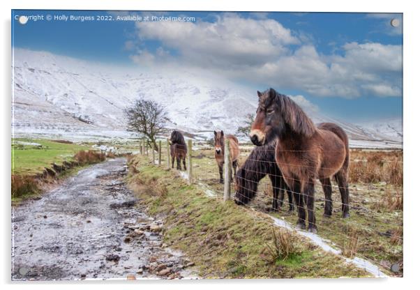 'Whispering Winter: Derbyshire Ponies' Acrylic by Holly Burgess