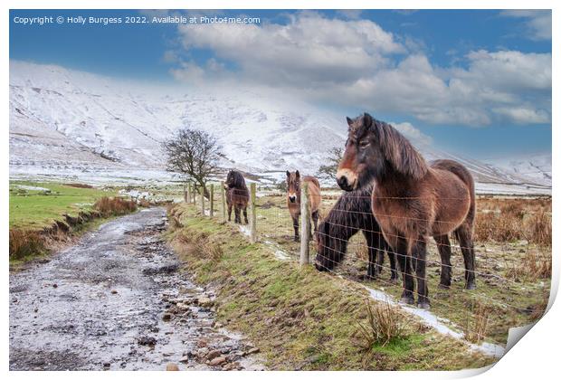 'Whispering Winter: Derbyshire Ponies' Print by Holly Burgess
