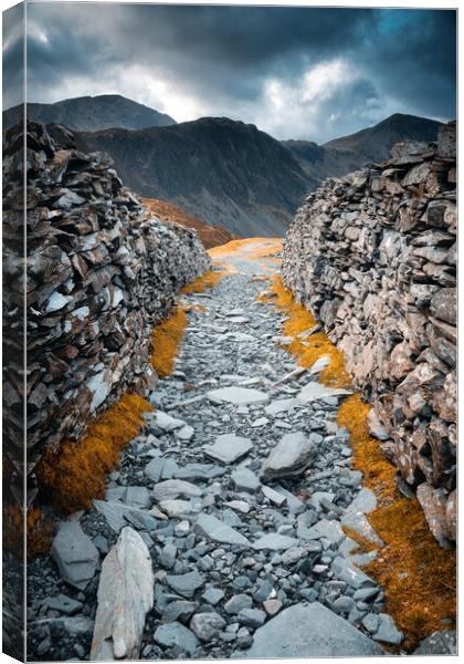 Slate path leading to Hay Stacks Fell Canvas Print by Alan Wise