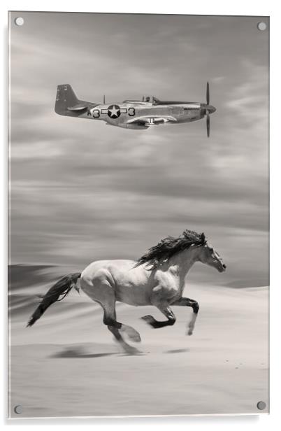 Mustangs Tall In The Saddle Acrylic by J Biggadike
