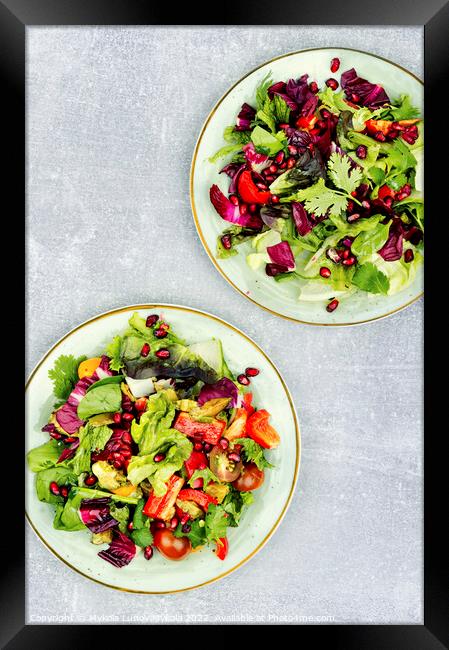 Salad of fresh vegetables and herbs. Framed Print by Mykola Lunov Mykola