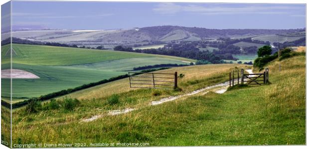 Sussex Countryside wide panoramic view Canvas Print by Diana Mower