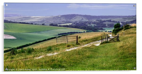Sussex Countryside wide panoramic view Acrylic by Diana Mower