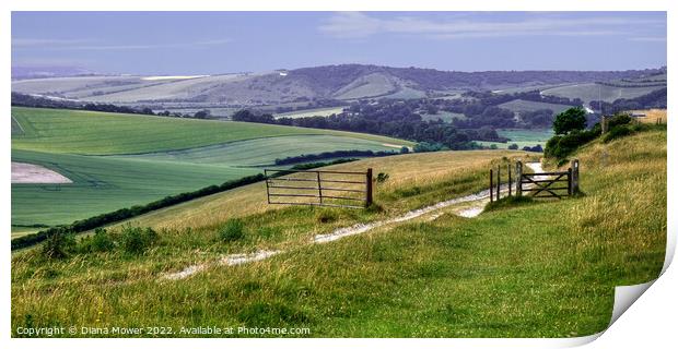 Sussex Countryside wide panoramic view Print by Diana Mower