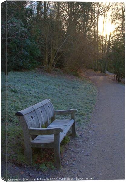 Frosty bench in the park Canvas Print by Antony Robinson