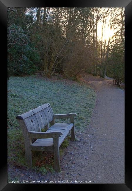 Frosty bench in the park Framed Print by Antony Robinson