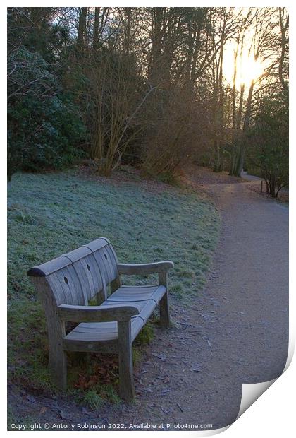 Frosty bench in the park Print by Antony Robinson