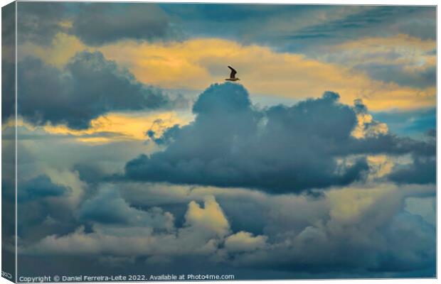 Bird flying over stormy clouds Canvas Print by Daniel Ferreira-Leite