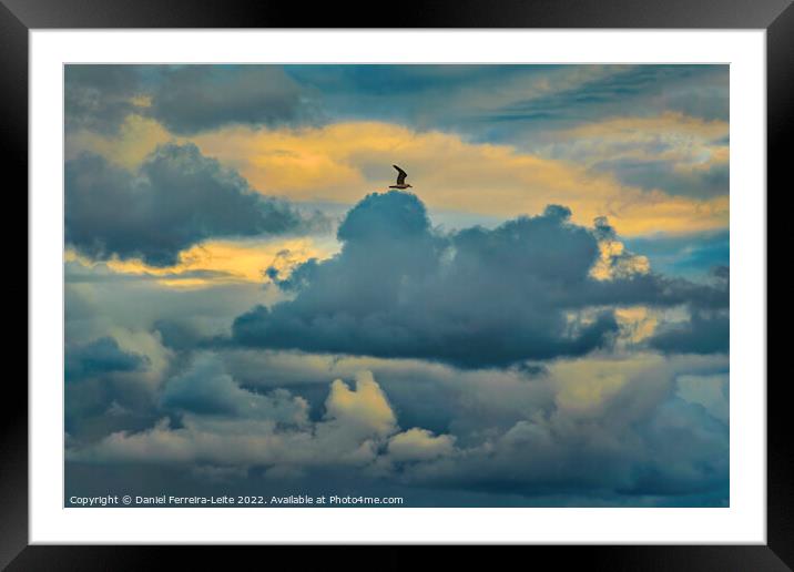Bird flying over stormy clouds Framed Mounted Print by Daniel Ferreira-Leite