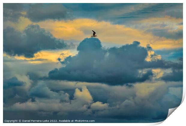 Bird flying over stormy clouds Print by Daniel Ferreira-Leite
