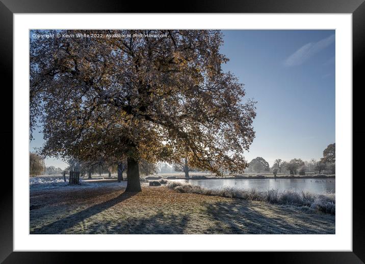 Morning December frost at Bushy Park Surrey Framed Mounted Print by Kevin White