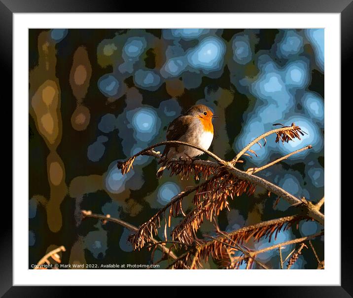 The Christmas Robin. Framed Mounted Print by Mark Ward
