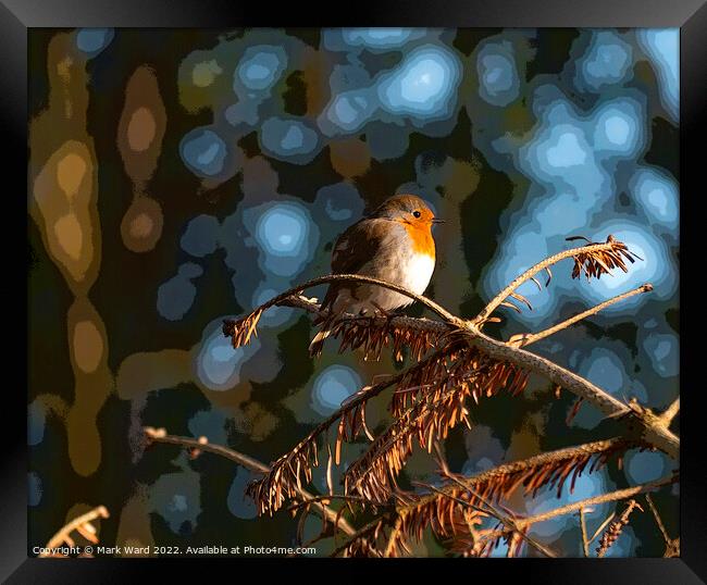 The Christmas Robin. Framed Print by Mark Ward