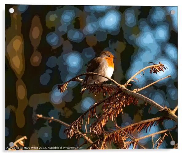 The Christmas Robin. Acrylic by Mark Ward