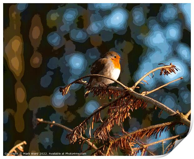 The Christmas Robin. Print by Mark Ward